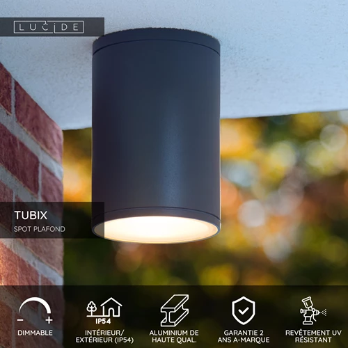 Lucide TUBIX - Spot plafond Intérieur/Extérieur - Ø 10,8 cm - 1xE27 - IP54 - Anthracite - USP